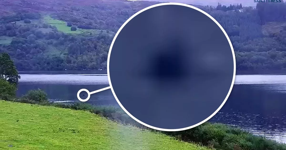 Lake lure webcams Trunks gay porn