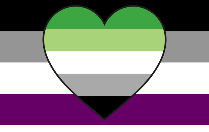 Lesbian asexual flag Suze randall hardcore