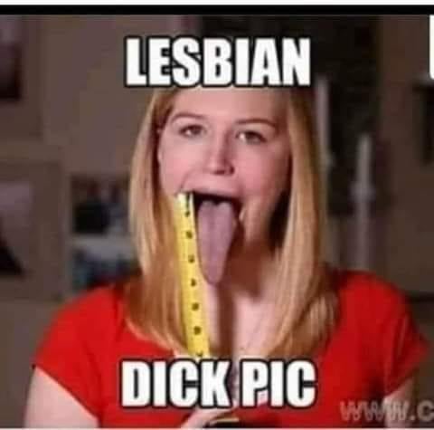 Lesbian jokes dirty Adult dinosaur onesie