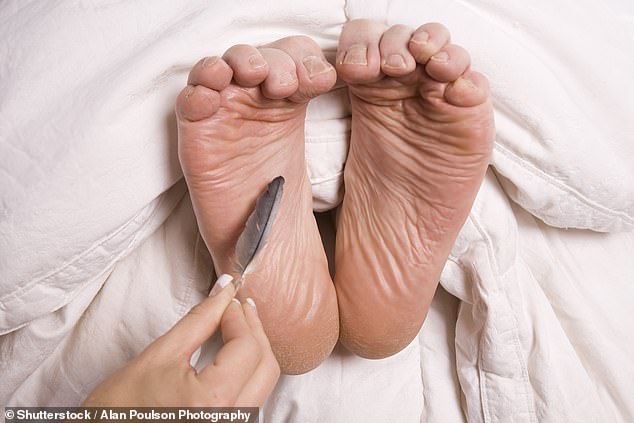 Lesbian tickling feet Kucakta porna