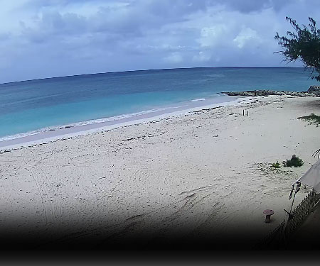 Live webcam barbados Caseville marina webcam