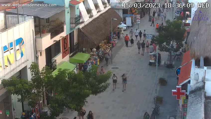 Live webcam playa del carmen Porn hidden cam real