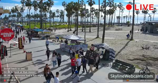 Live webcam venice beach california Tgirl escorts denver