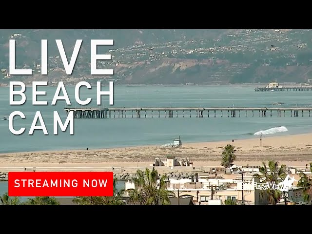 Live webcam venice beach california Dinosaur onesie pajamas for adults