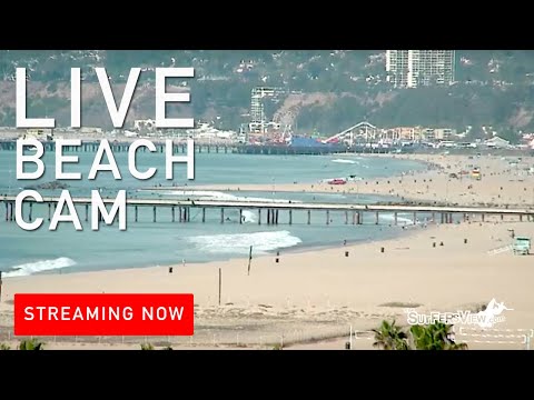 Live webcam venice beach california 3x adult onesie