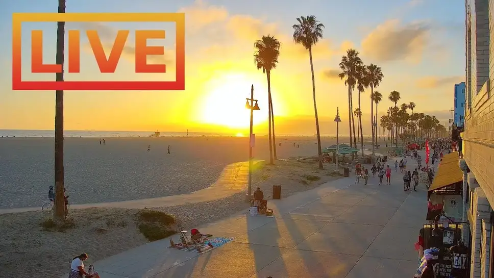 Live webcam venice beach california Escort gilroy