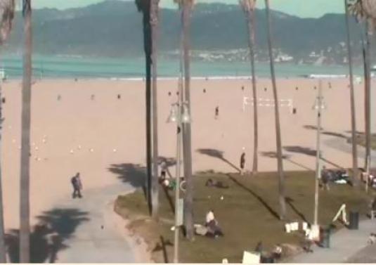Live webcam venice beach california Videos pornos caseros de ecuador