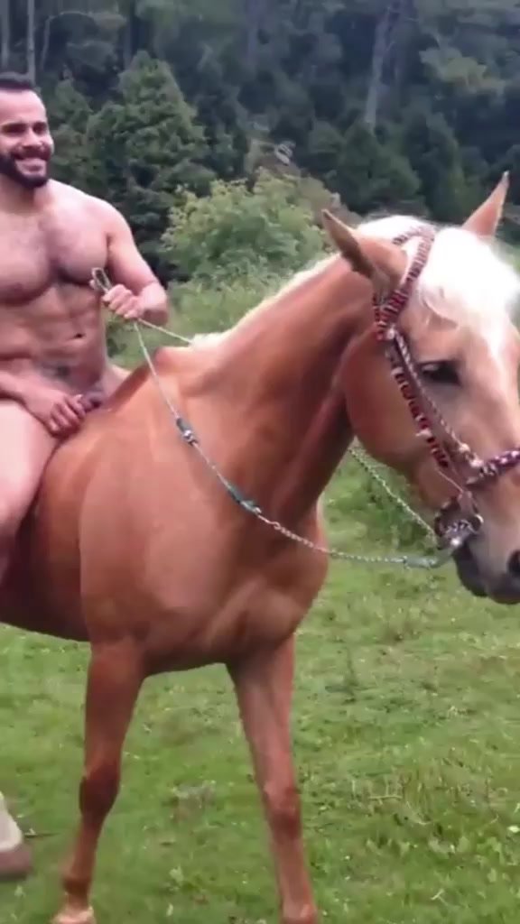 Man and horse porn Escort nassau