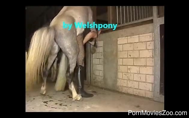Man fucked by horse Videos xxx pilladas