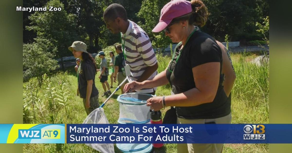 Maryland zoo adult summer camp Choi minho dating