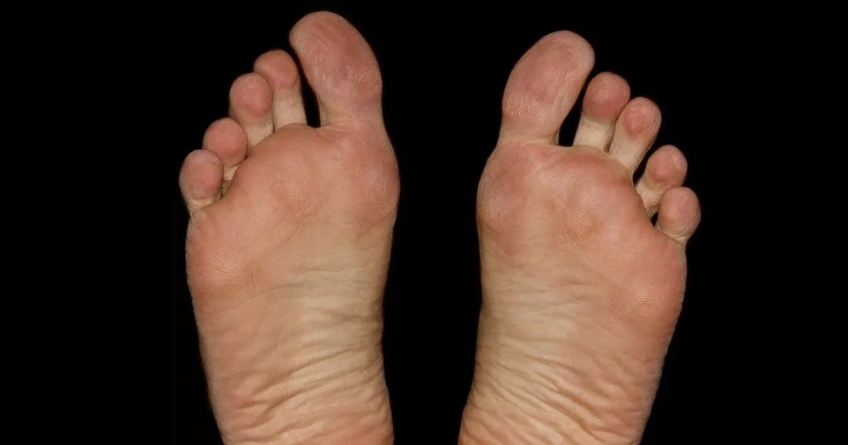 Mature feet fetish Estudiar secundaria para adultos