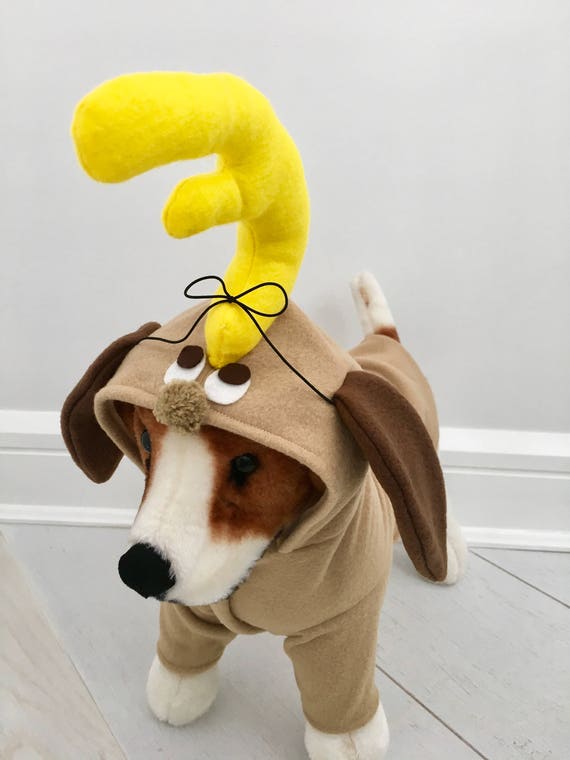Max the dog costume for adults Escorts panama city florida