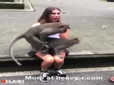 Monkey with woman porn Latina anal tube