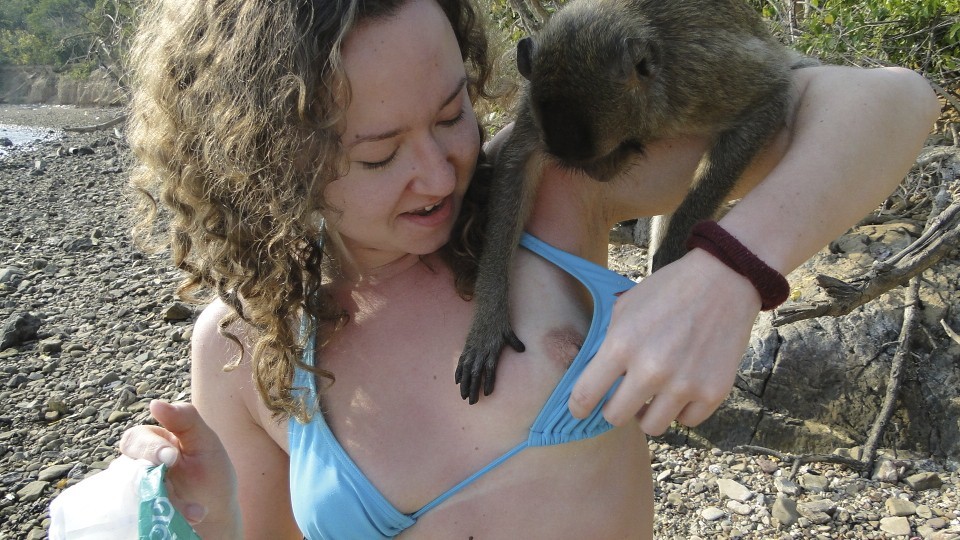 Monkey with woman porn Milf fuck stories