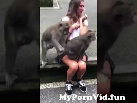 Monkey with woman porn Pornstar riley jensen