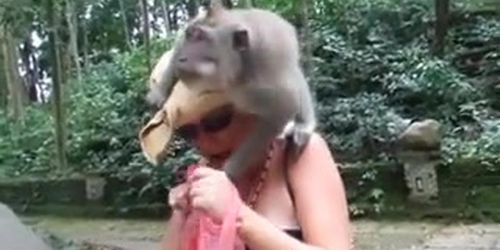 Monkey with woman porn Top pornhub searches by state