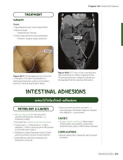 Most common site of intussusception in adults Red porn movies