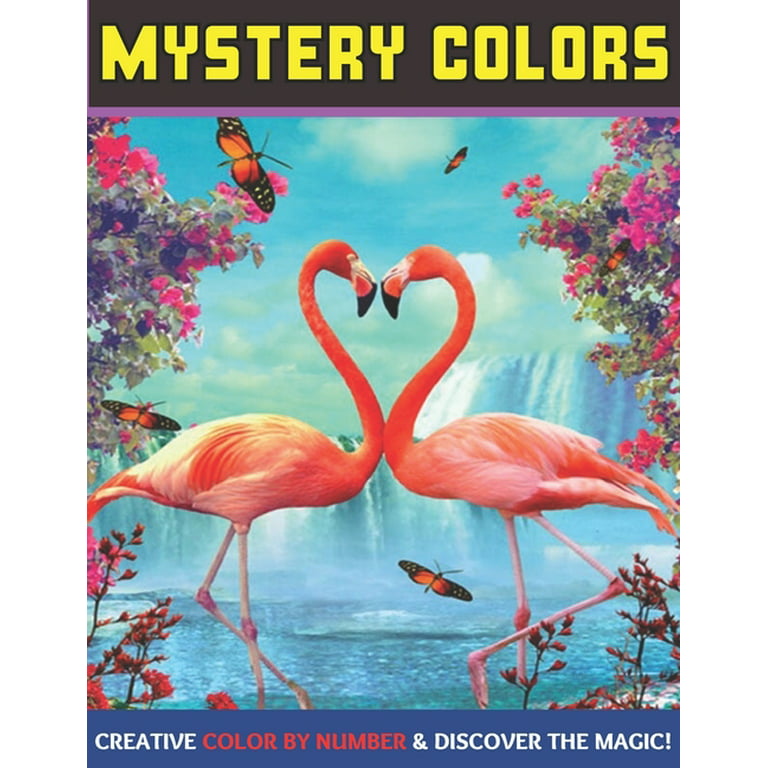 Mystery color by number for adults Wow hardcore release time