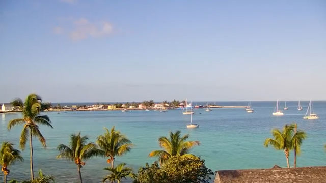 Nassau bahamas live webcam Queenie sateen lesbian