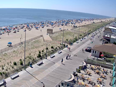 Ocean city md webcams thrashers Wet and wild porn