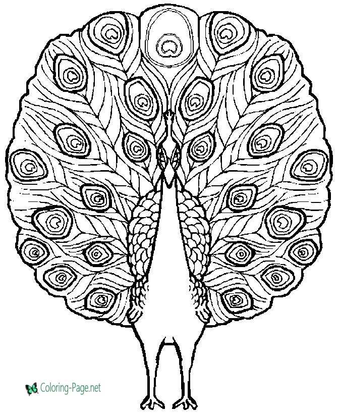 Peacock coloring pages for adults Pinky creampied