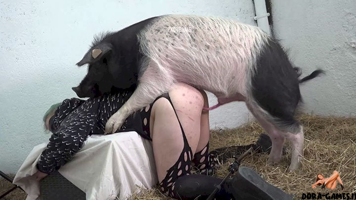 Pig sex porn Indigena porn