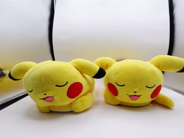 Pikachu slippers for adults Porn hd colombia