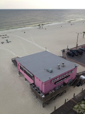 Pink pony pub gulf shores webcam Fat fuck in spanish