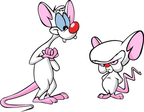 Pinky and the brain porn Forthub porn