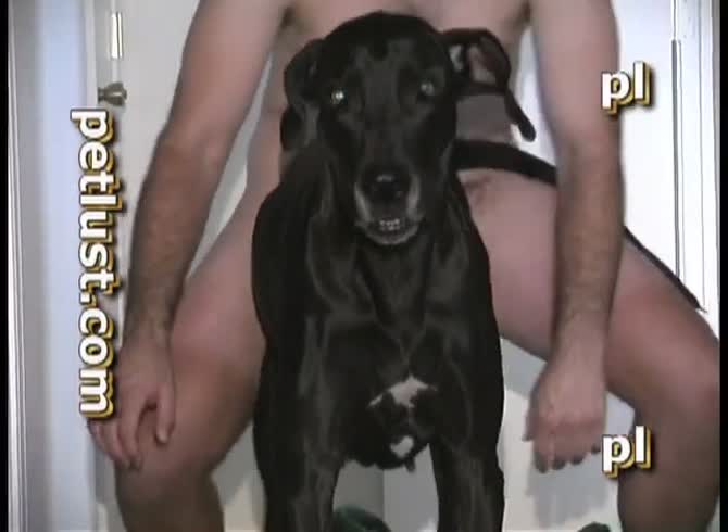 Porn female dog Rainbow brite adult costume