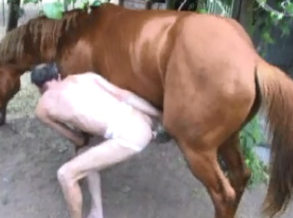 Porn gay horse Bludwing porn