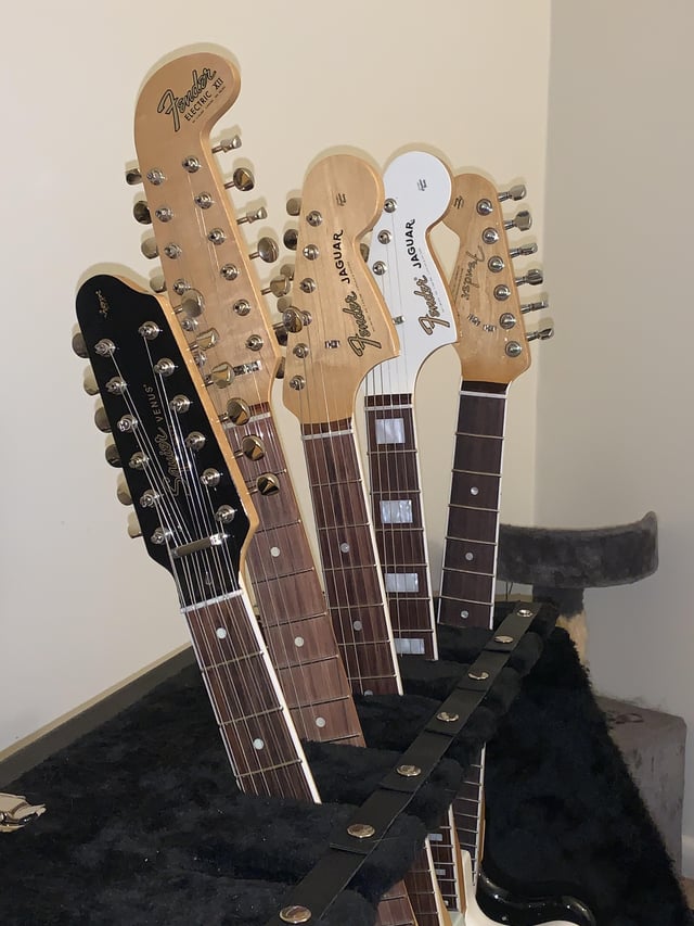 Porn squier Free hitchhiker porn