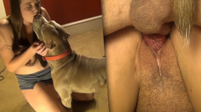 Porn videos of dog Highschool dxd xenovia porn