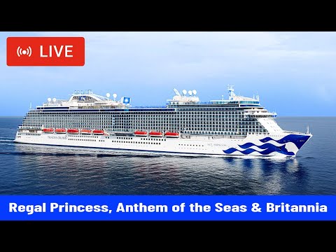 Princess cruises webcams Go kart for sale adults