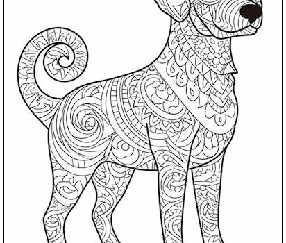 Printable animal coloring pages for adults My lady porn