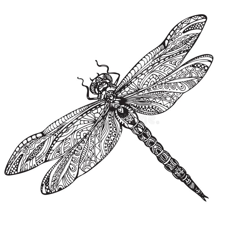 Printable dragonfly coloring pages for adults Adam ellis porn