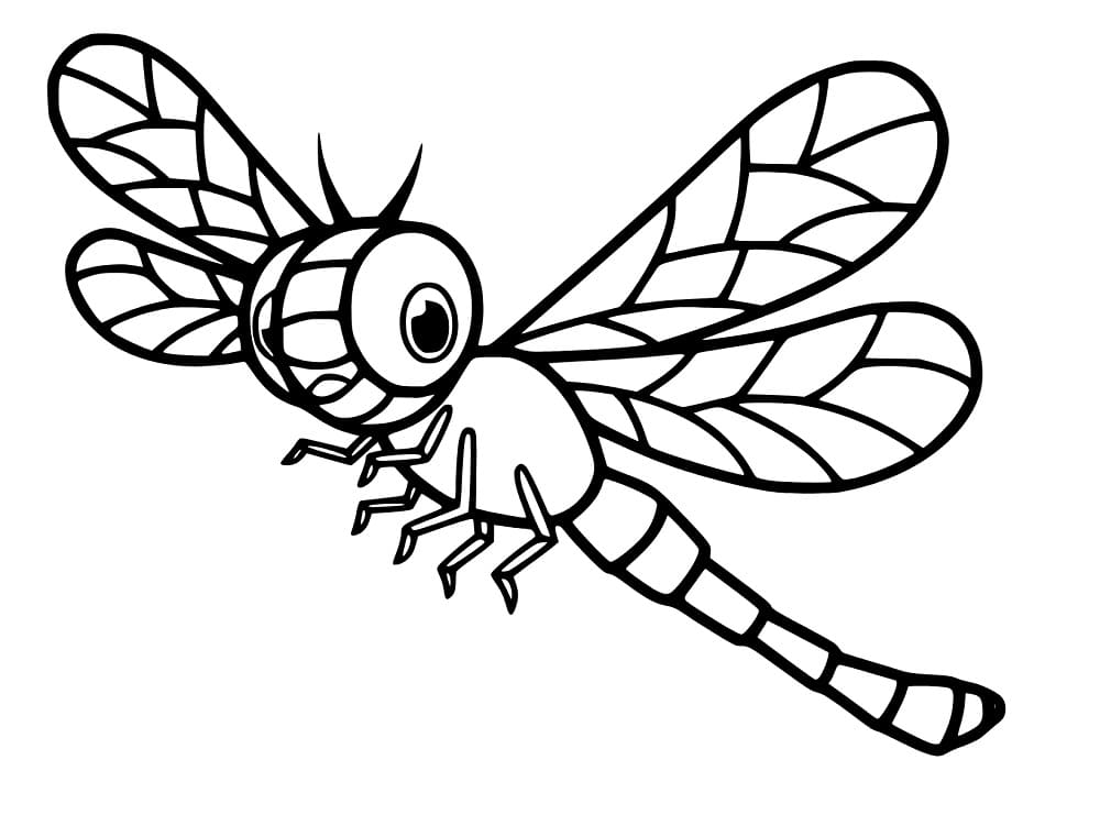 Printable dragonfly coloring pages for adults Megnutt02 pussy leak