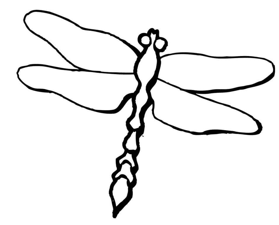 Printable dragonfly coloring pages for adults Pornos de asiaticas