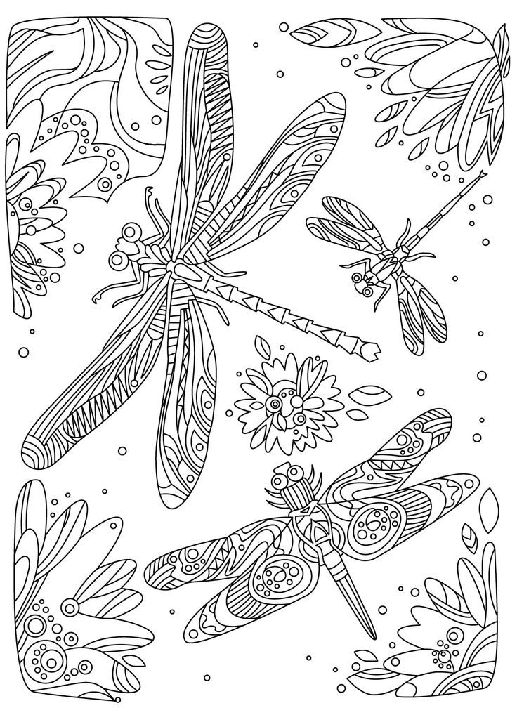 Printable dragonfly coloring pages for adults Pokietodo porn