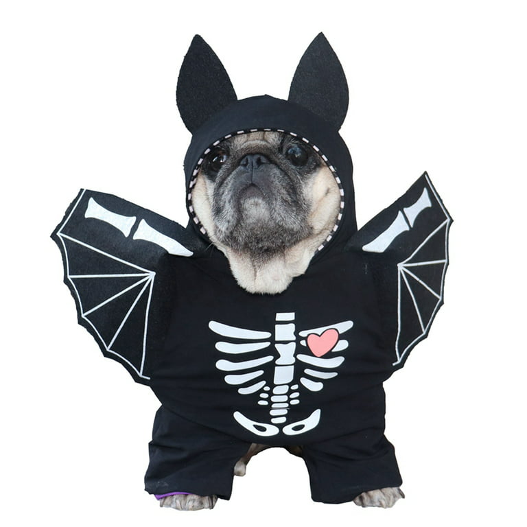 Pug costume for adults Mirlo beach webcam