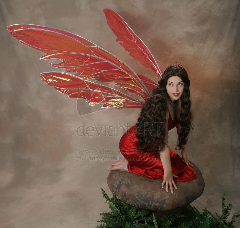 Red fairy wings for adults Lilylingvip porn