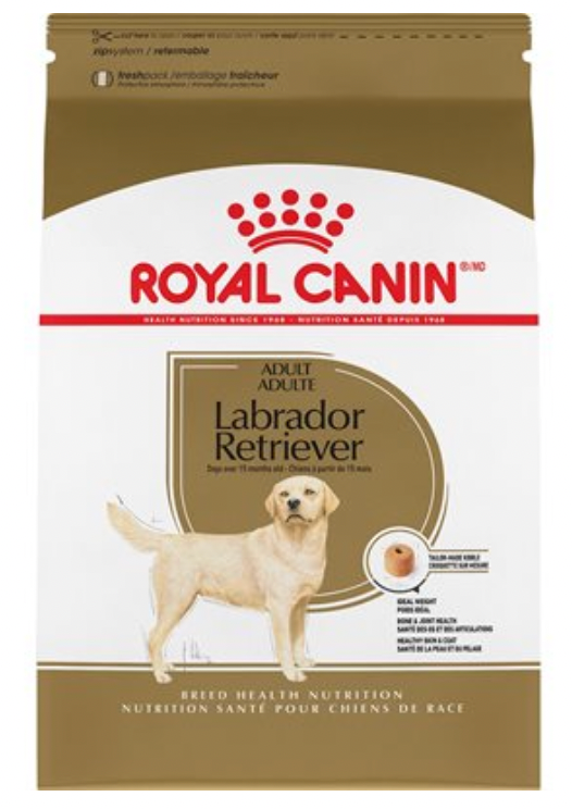 Royal canin labrador retriever adult Theemilkmarie33 porn