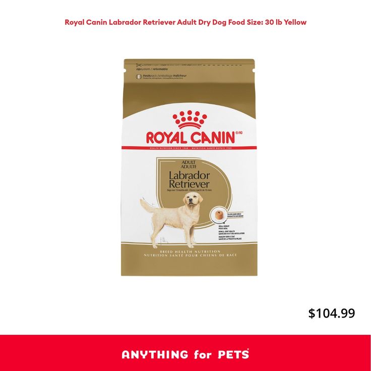 Royal canin labrador retriever adult Easter coloring books for adults