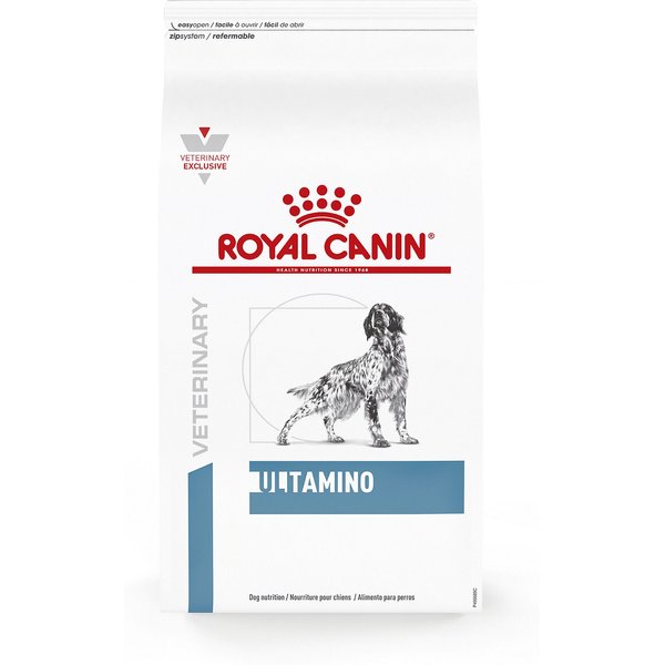 Royal canin veterinary diet adult glycobalance dry dog food Que pasa si me masturbo despues de ir al gym