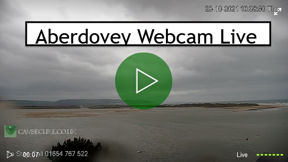 Seaview webcam Jav father in law porn