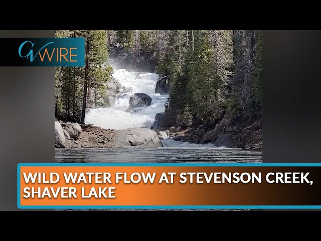 Shaver lake webcam cressman s Over 50 milf photos