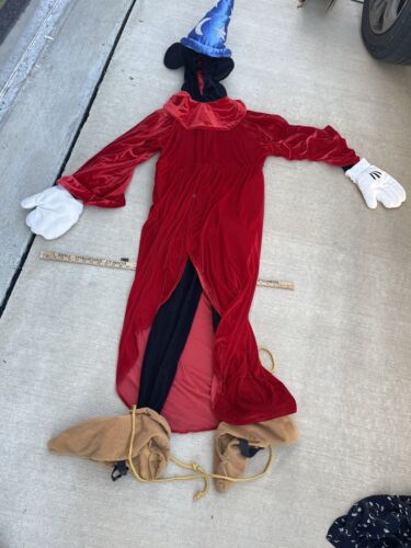 Sorcerer mickey costume for adults Just fuck my shit up fam