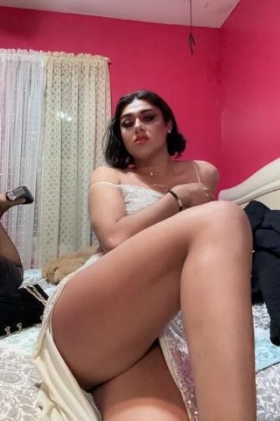 South jersey transexual escorts Really tall women porn