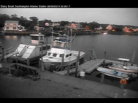 Southport ferry webcam Adult slumbersac
