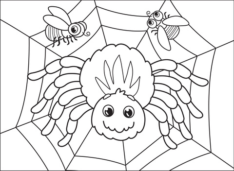 Spider coloring pages for adults Cheekykim porn